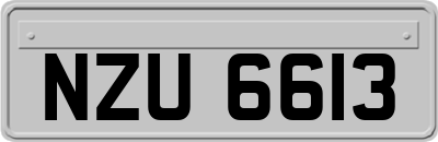 NZU6613