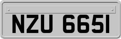 NZU6651