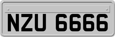 NZU6666