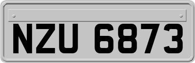 NZU6873