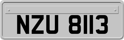 NZU8113