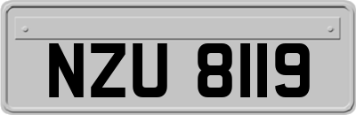 NZU8119