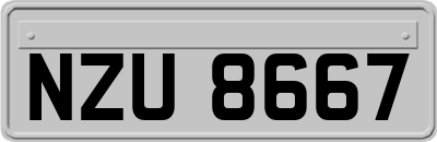NZU8667