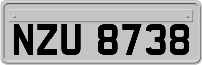 NZU8738