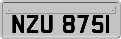 NZU8751