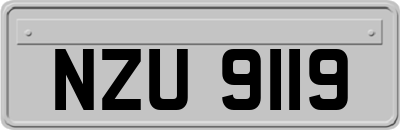 NZU9119
