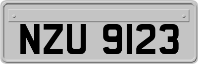 NZU9123
