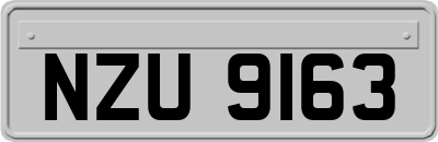 NZU9163