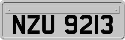 NZU9213