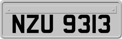 NZU9313