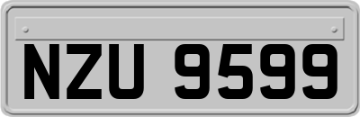 NZU9599