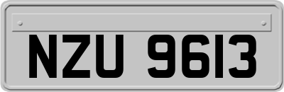 NZU9613