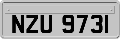 NZU9731