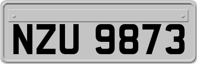 NZU9873