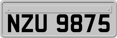 NZU9875