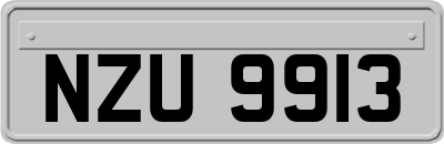 NZU9913
