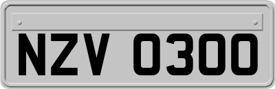 NZV0300