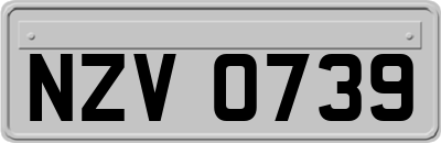 NZV0739