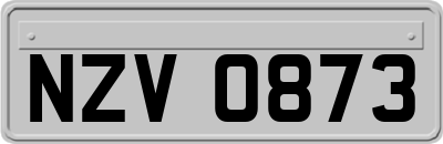 NZV0873