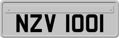 NZV1001
