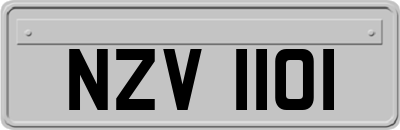 NZV1101
