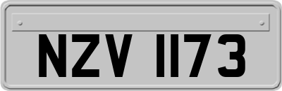 NZV1173