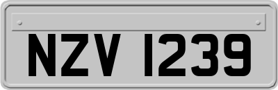 NZV1239