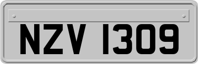 NZV1309