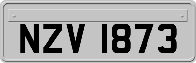 NZV1873