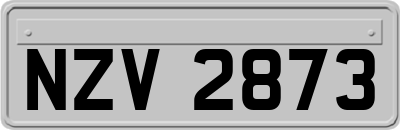 NZV2873