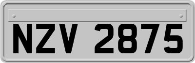 NZV2875