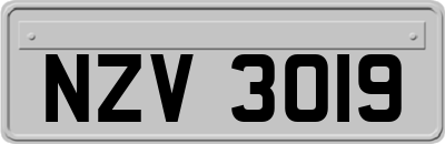 NZV3019