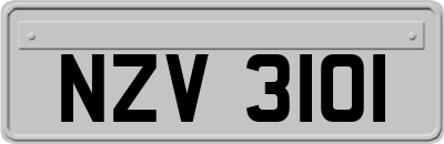 NZV3101
