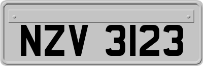 NZV3123