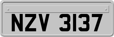 NZV3137