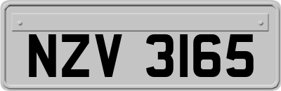 NZV3165