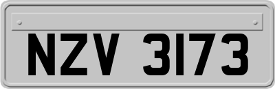 NZV3173