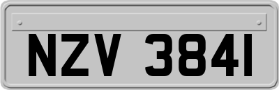 NZV3841