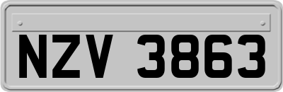 NZV3863