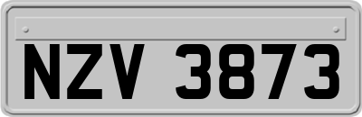 NZV3873