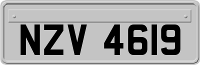 NZV4619