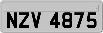 NZV4875