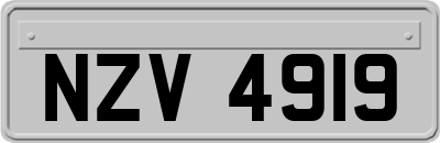 NZV4919