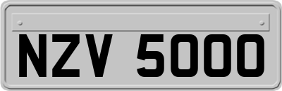 NZV5000