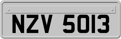 NZV5013