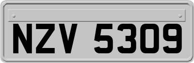 NZV5309