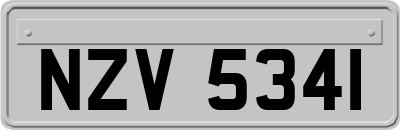 NZV5341