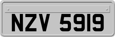 NZV5919