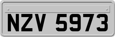 NZV5973