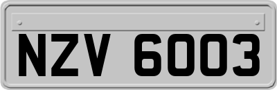 NZV6003